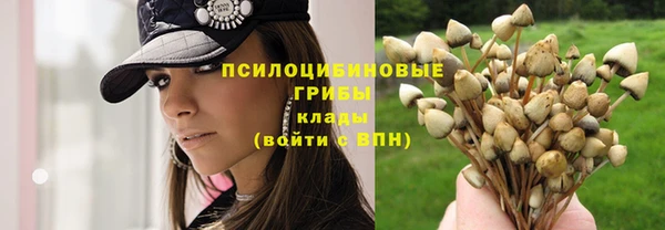 стаф Балахна