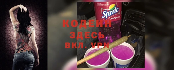 стаф Балахна