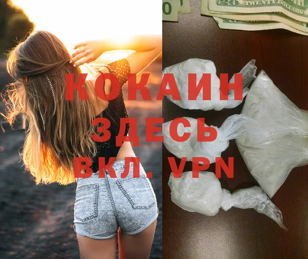 стаф Балахна