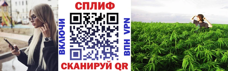 Купить  Кореновск  Шишки марихуана VHQ 